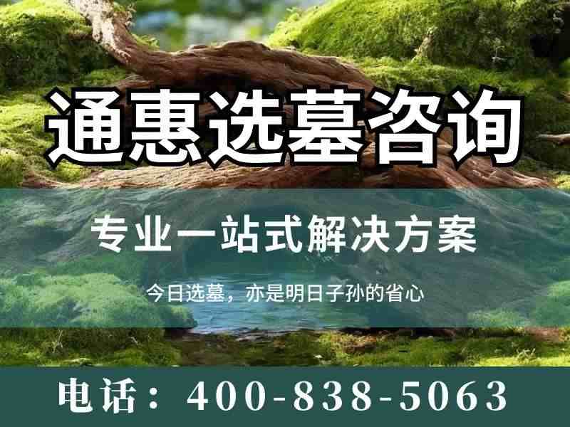 “通惠陵园通惠河边的柳枝年年发芽墓区年年更新”